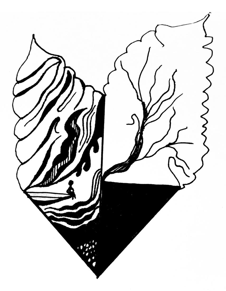 Leaf Study