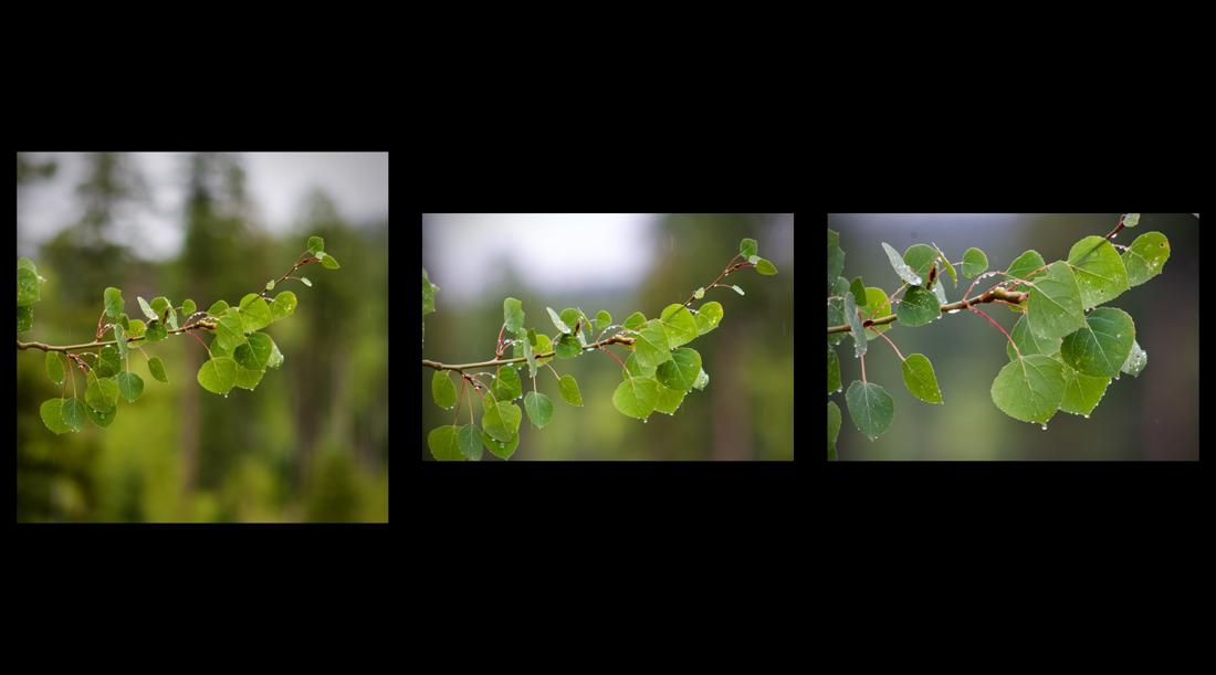 After The Rain Collection