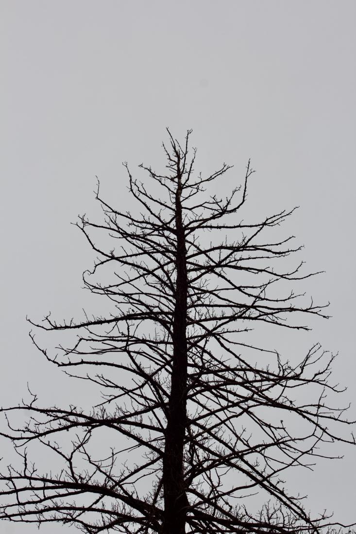 Stand Alone